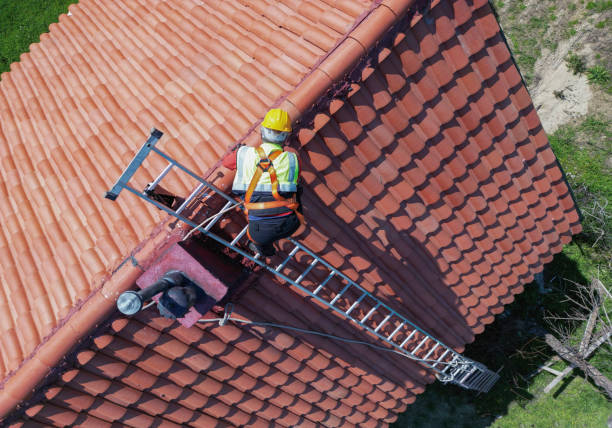 Best Skylights  in Shenandoah, VA